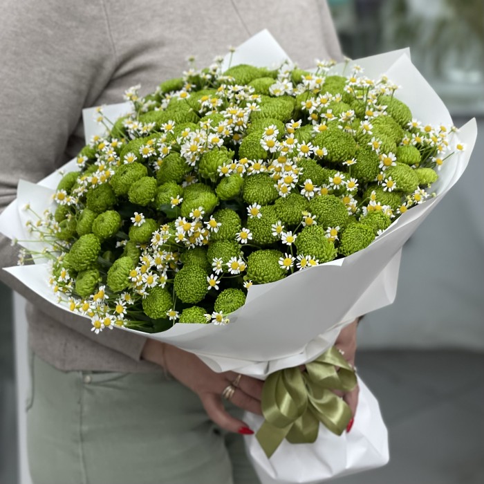 19 зеленых хризантем с ромашкой